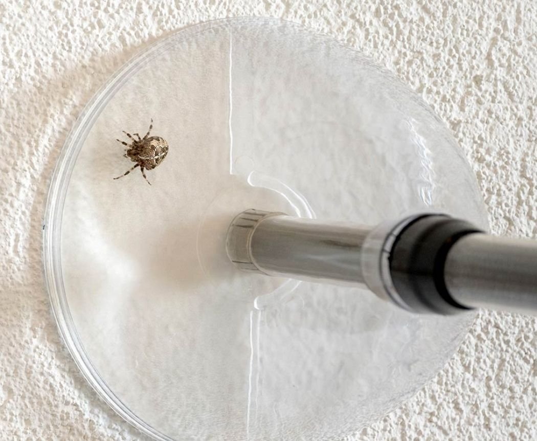 Spindelfångare 73 cm - miljövänlig!