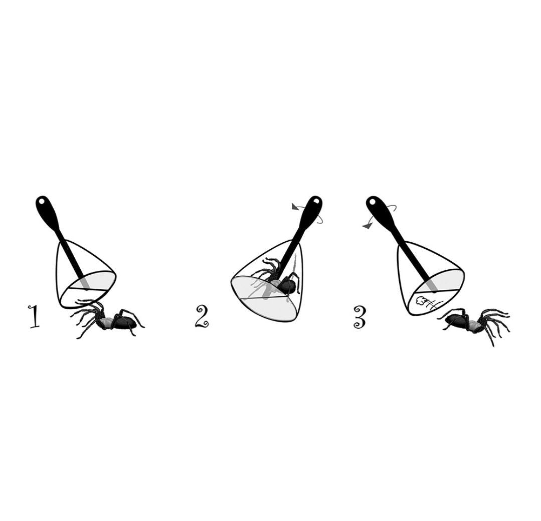 Spindelfångare 73 cm - miljövänlig!